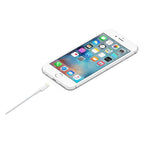 Apple Lightning to USB Cable (1m) - White (Copy) APPLE