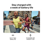 Fitbit Charge 6 - Porcelain - Pristine - Refurbished Fitbit