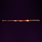 The Harry Potter Magic Caster Wand (AU Version) – App Discontinued, Collector’s Item